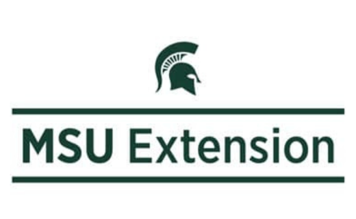 MSU Honors 86 Students with Board of Trustees Award 